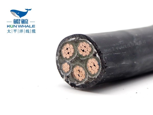 低煙無鹵電纜應(yīng)用在哪些場所你知道嗎？
