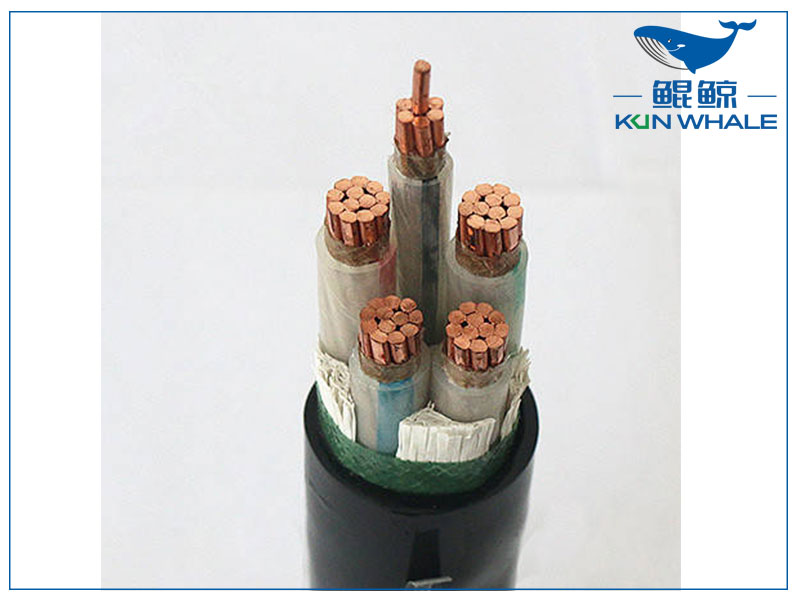 鄭州電纜廠帶你了解wdz—yje是什么電纜？